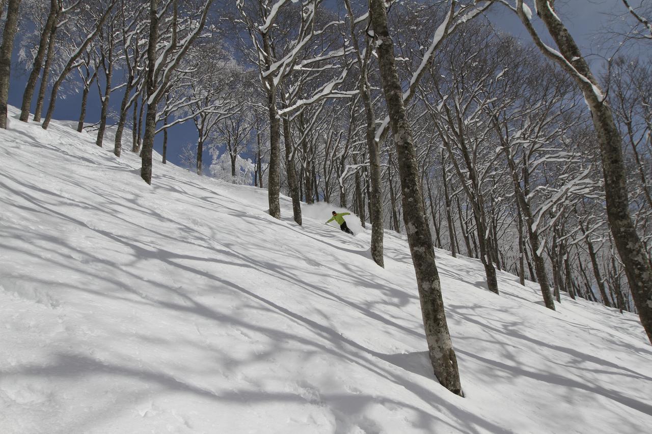 Hotel Powder Temple Hakuba Esterno foto